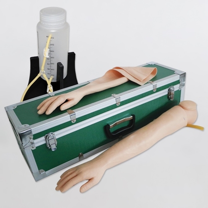Photo de Artery Puncture & Intramuscular Injection Training Arm