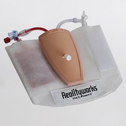 Picture of Realityworks IV Ivy Administration Trainer