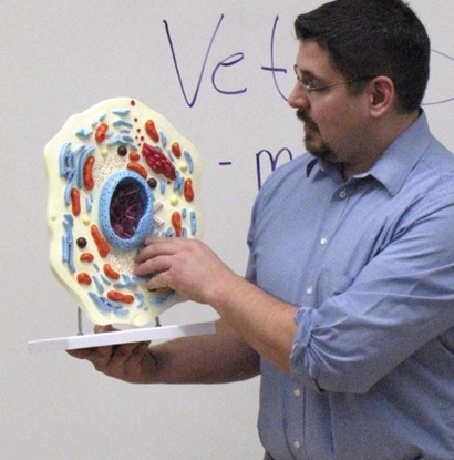Picture of Animal Cell Model