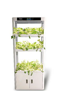 Picture for category Hydroponics