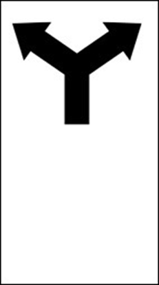 Left or Right Turn Only Sign