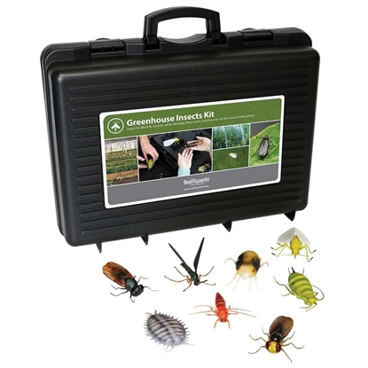 Greenhouse Insects Model Kit