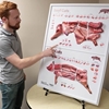 Beef and Pork 3D Meat Cuts Poster