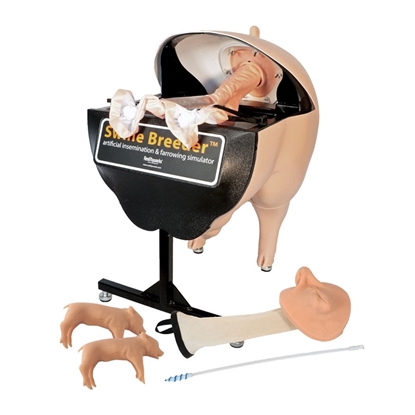 Photo de Swine Breeder™ artificial insemination simulator