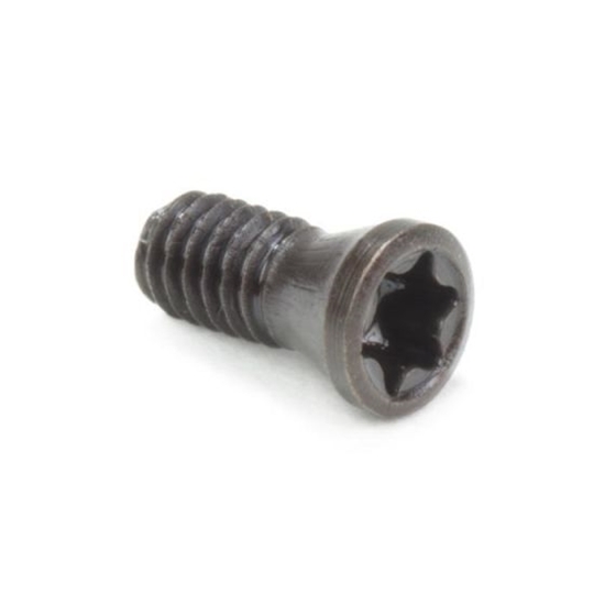 Picture of M2.5 x 6 mm Insert Screw