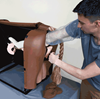 Picture of Bovine Breeder Artificial Insemination Simulator (Brown)