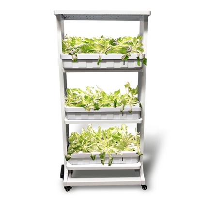 Picture of Plant Lab Educational Hydroponics System