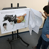 Picture of Cow Anatomy 3D Flip Chart