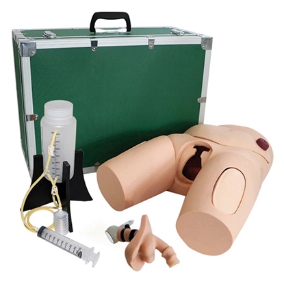 Picture of Realityworks Vinyl  Male Catheterization Simulator