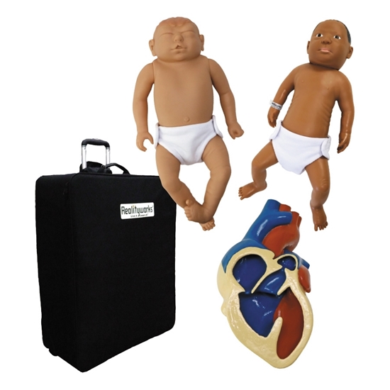 Photo de Birth Defects and Disorder Model Set