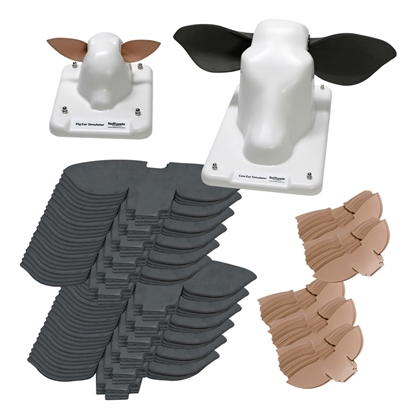 Photo de Cow and Pig Ear Simulation