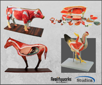 Picture of 4 Large Animal Bundle (Cow, Pig, Horse, Chicken)