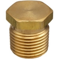 Photo de 1/8" NPT Hex Head Brass Plug 