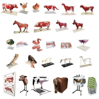 Animal Systems Package 2 