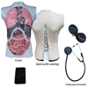 Picture of Auscultation Trainer