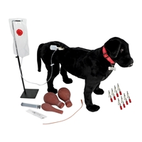 Photo de Canine Vet Trainer