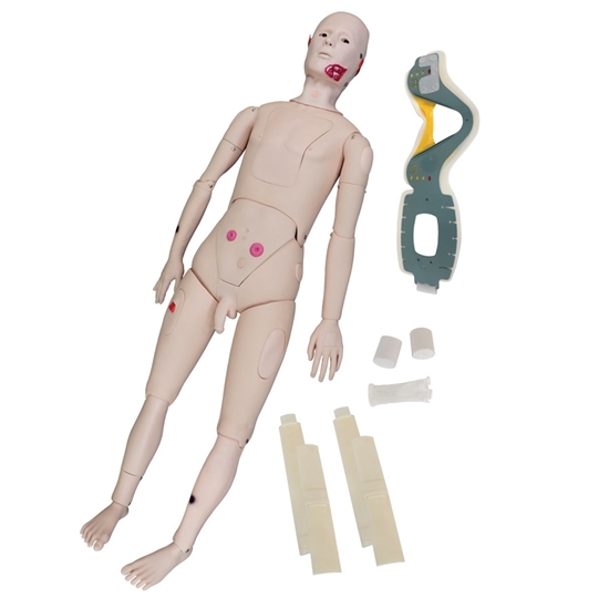 Picture of Closed Fracture Trauma Manikin