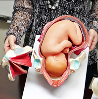 Picture of RealCare Birth Model Set (3 piece)