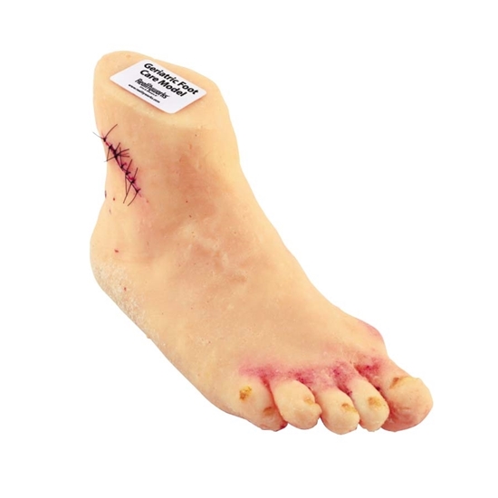 Picture of Geriatric Foot Care Model