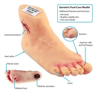Picture of Geriatric Foot Care Model
