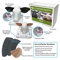 Photo de Cow and Pig Ear Simulation
