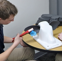 Photo de Cow and Pig Ear Simulation