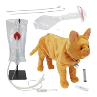 Photo de Feline Vet Trainer