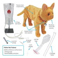 Photo de Feline Vet Trainer