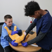 Photo de Feline Vet Trainer