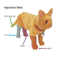 Photo de Feline Vet Trainer