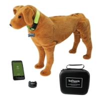 Photo de Canine Auscultation Trainer