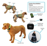 Photo de Canine Auscultation Trainer