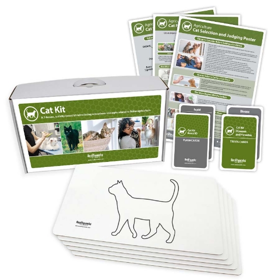 Picture of Cat Kit