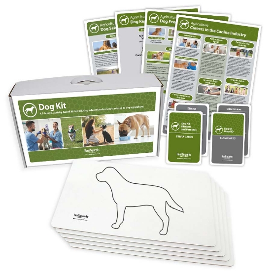 Picture of Dog Kit
