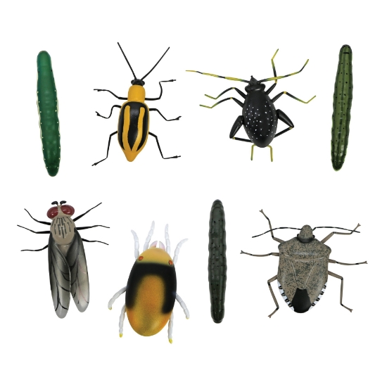 Picture of Crop Insects Kit