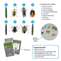 Picture of Crop Insects Kit