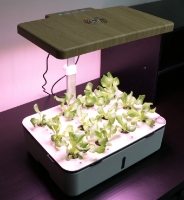 Photo de Plant Mini Educational Hydroponics System Class Pack (5-pack)