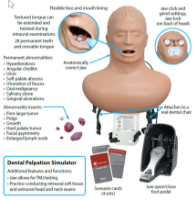 Photo de Dental Palpation Simulator