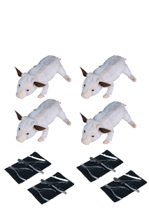 Picture for category Swine Skills